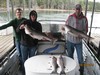 (09/30/2015) - Nice Striped Bass
